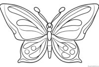 schmetterling bild malen