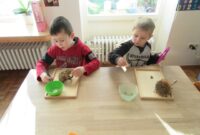 lernwerkstatt kindergarten