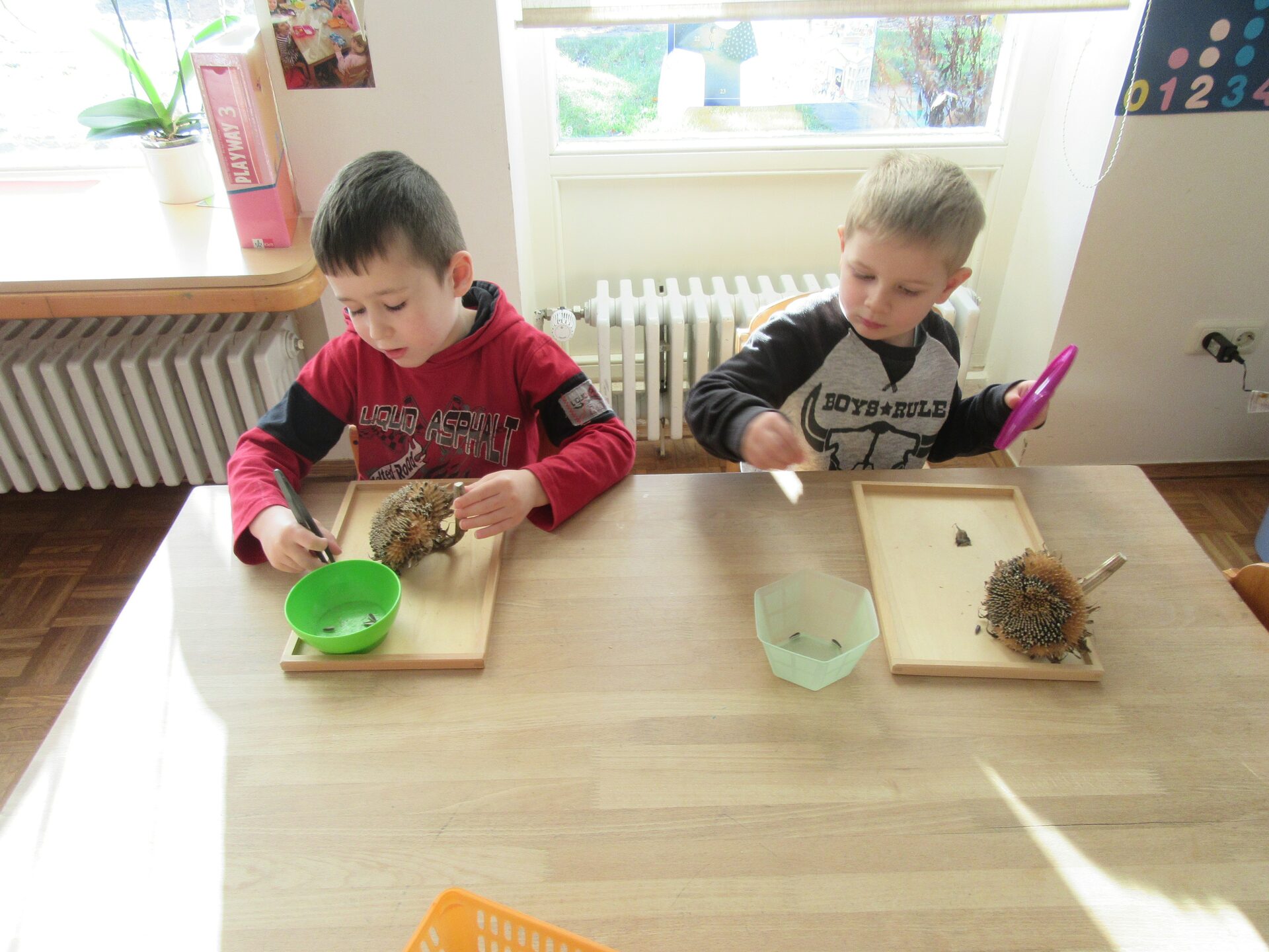  Kindergarten Krümelhaus 