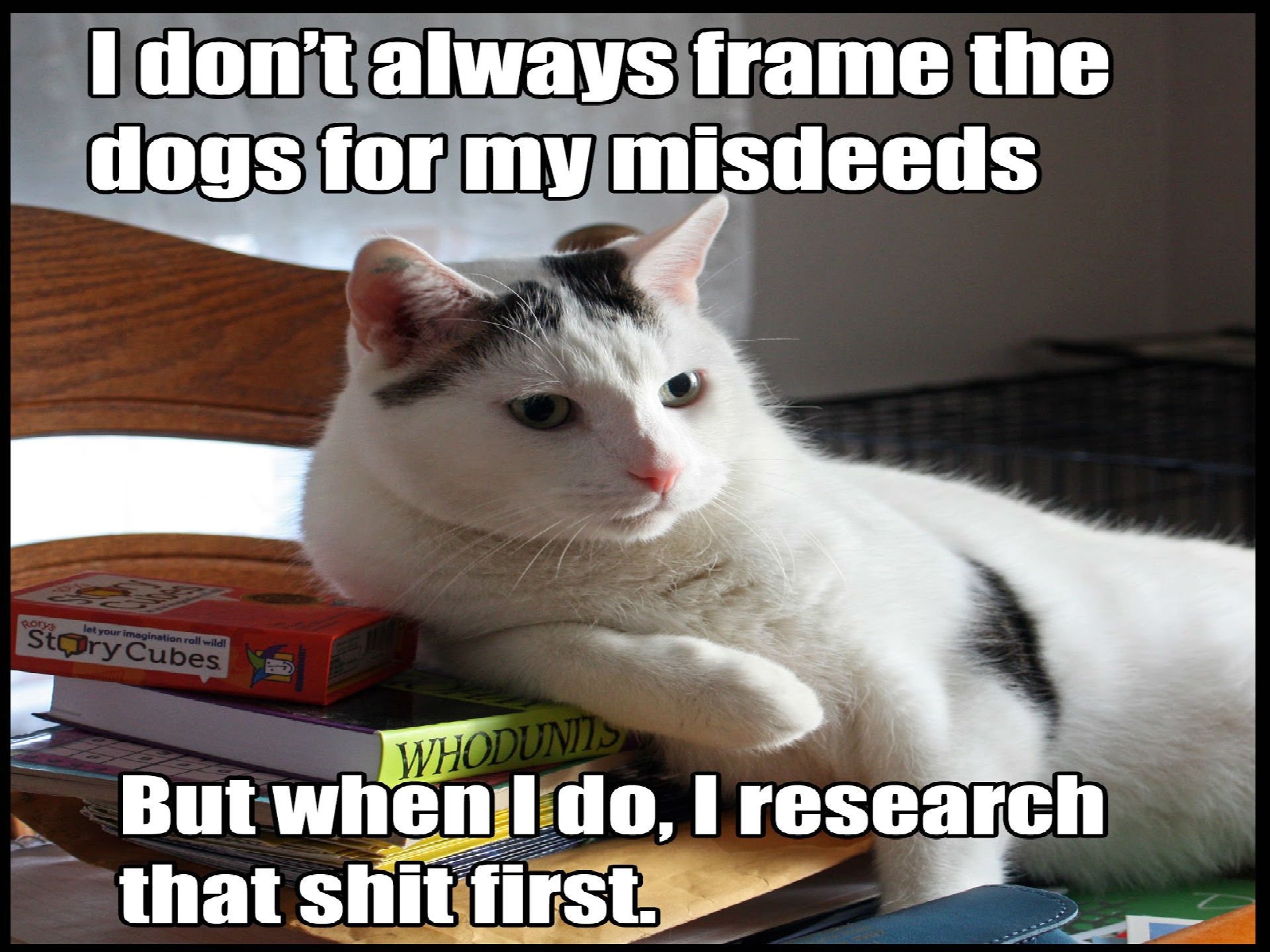 cat, Meme, Quote, Funny, Humor, Grumpy, Sadic Wallpapers HD / Desktop