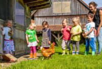 kindergarten wertingen