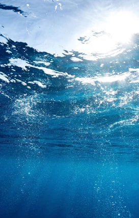  Digital Transformation for Growing Water Utilities 