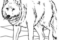 ausmalbild wildtiere