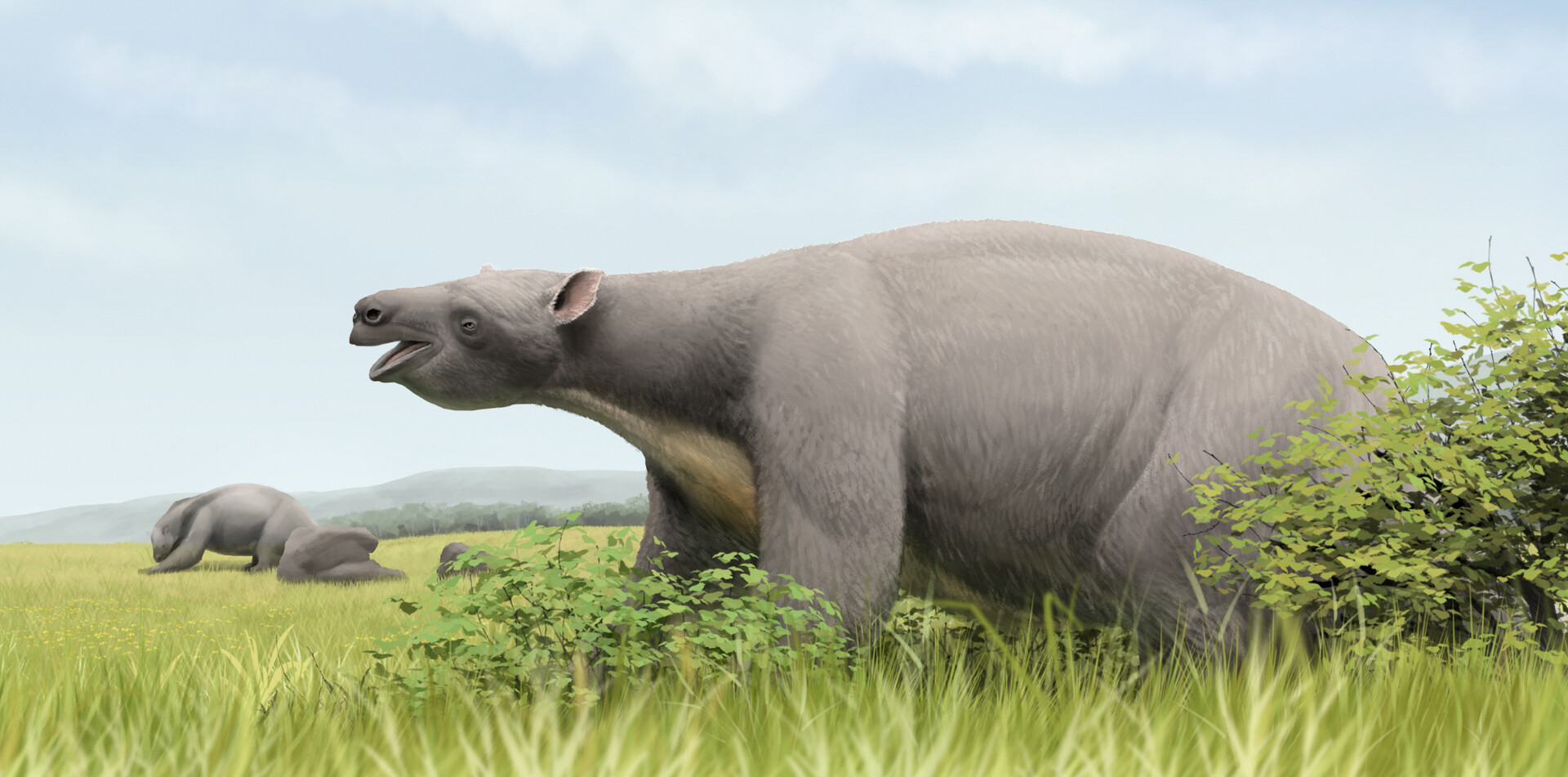 ArtStation - The biggest sloth in history
