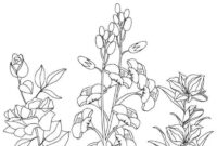 ausmalbilder pusteblume ausmalbilder pusteblume
