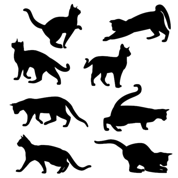  Foto zu Katze Silhouette Bilder - Kostenloser Download auf Freepik 
