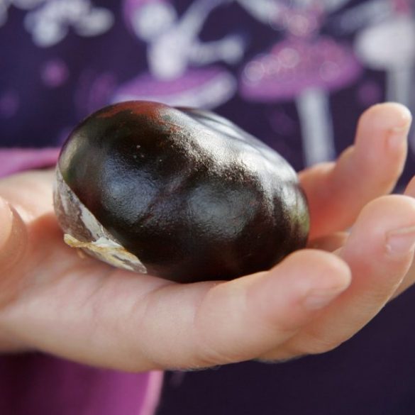  Foto zu Die Geschichte vom Kartoffelkönig • Kindergarten Ideen 