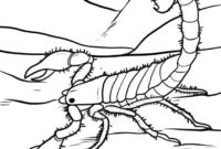 malvorlage skorpion