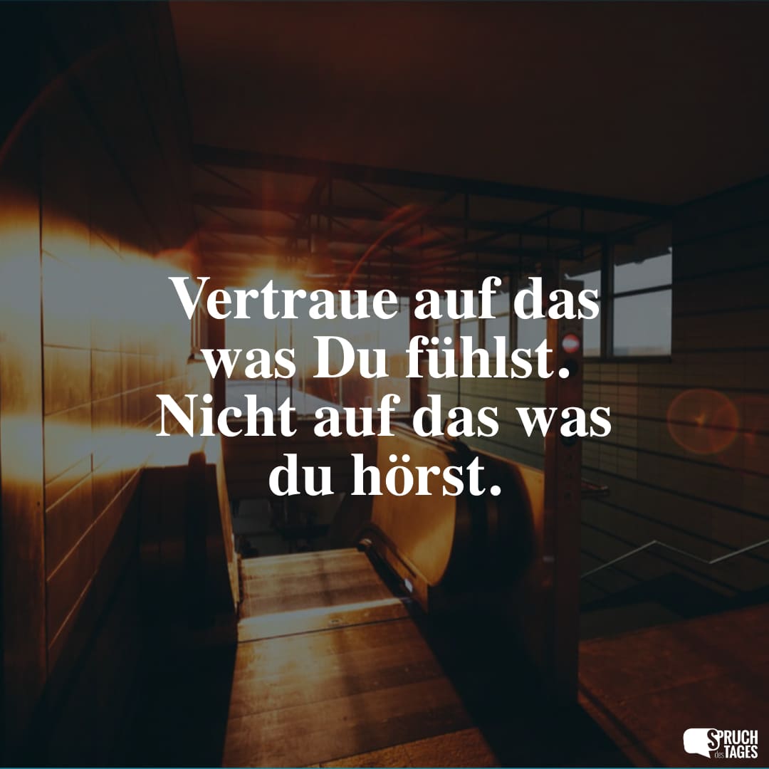  Vertrauen Sprüche: Sprüche über Vertrauen und Verbundenheit Motiv 