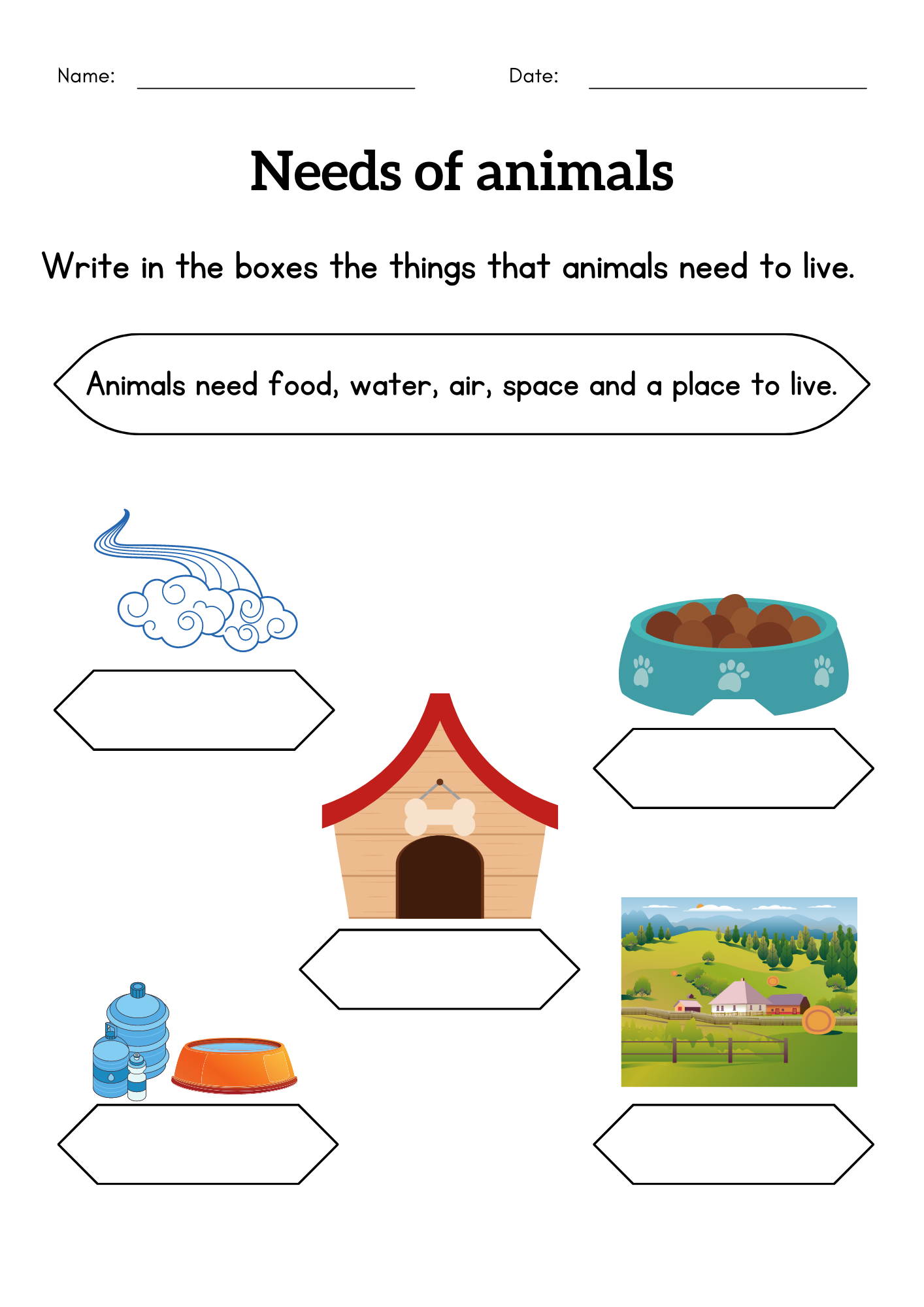  Basic Needs Of Living Things Illustration 