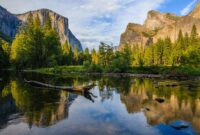 california landlord tenant laws 2026