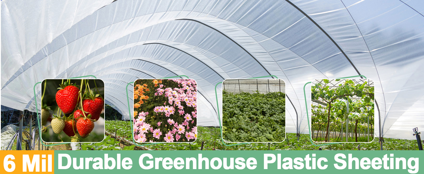  Amazon.com: 10 x 26 FT Clear Greenhouse Plastic Sheeting, 6 Mil 