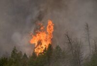 fire with transparent background online