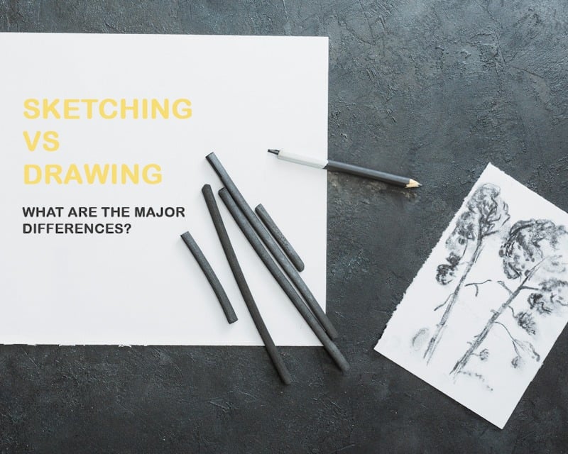  What Are the 5 Basic Skills of Drawing? Let's Master! 