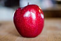 apple iphone 16e camera features