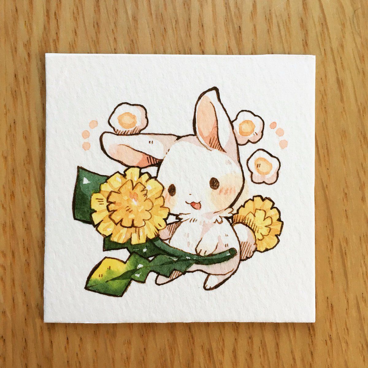 Pin by 《Gemmie》 on animal | Kawaii drawings, Cute little drawings, Cute