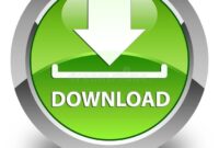 download pokemon nintendo ds download pokemon nintendo ds