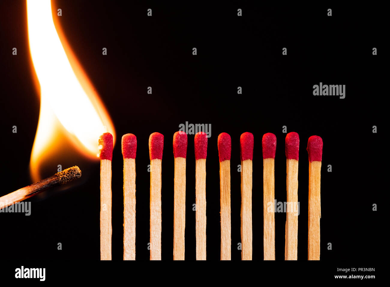  Lit match next to a row of unlit matches. The Passion of One Ignites Illustration 