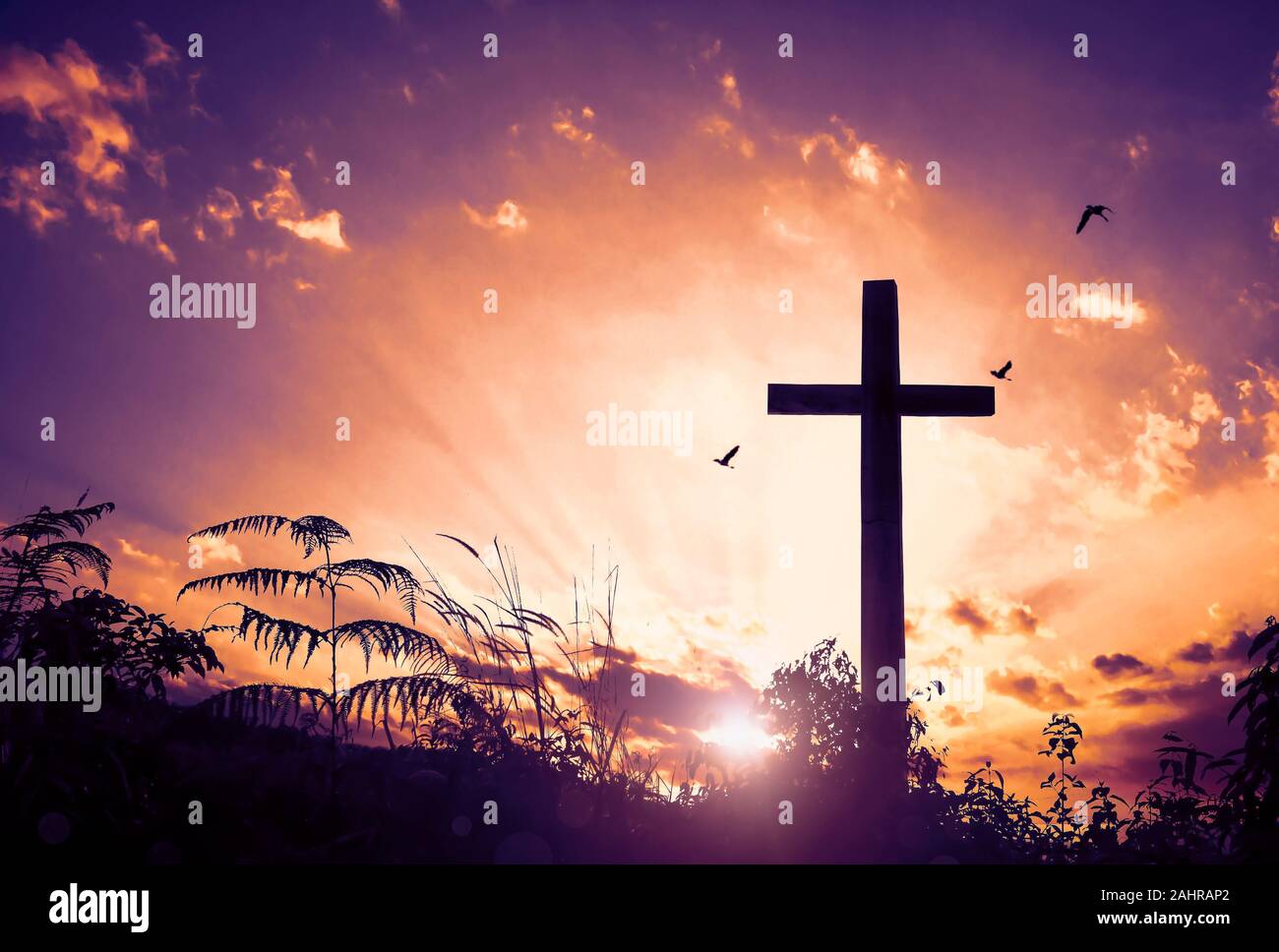 The Cross symbol of christian and Jesus Christ Stock Photo - Alamy