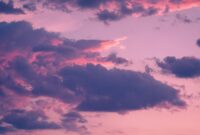 cheap renters insurance florida comparison