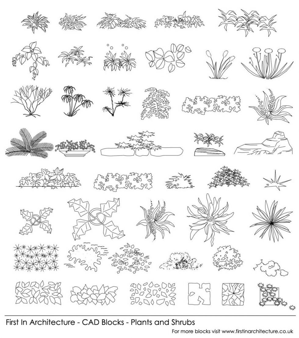 Plants Plan Cad Block Free - all about hobby