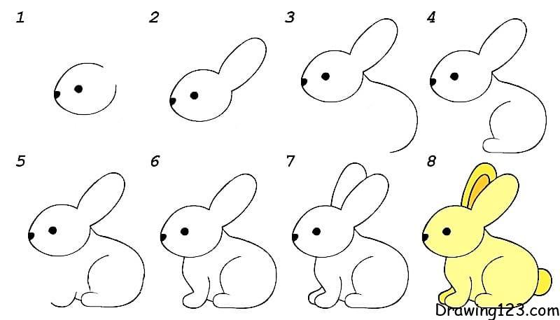 How Draw A Rabbit - Infoupdate.org