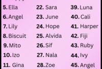 hoja de horarios para imprimir