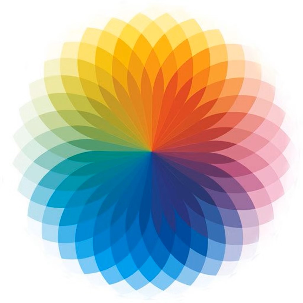 Unleash Your Creativity with Custom Color Palettes | Simplified