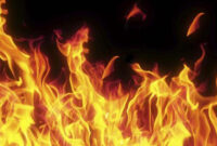 fire tablet 10 case
