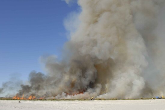  Free picture: firefighters, extinguished, summer, fire, field Bildidee 