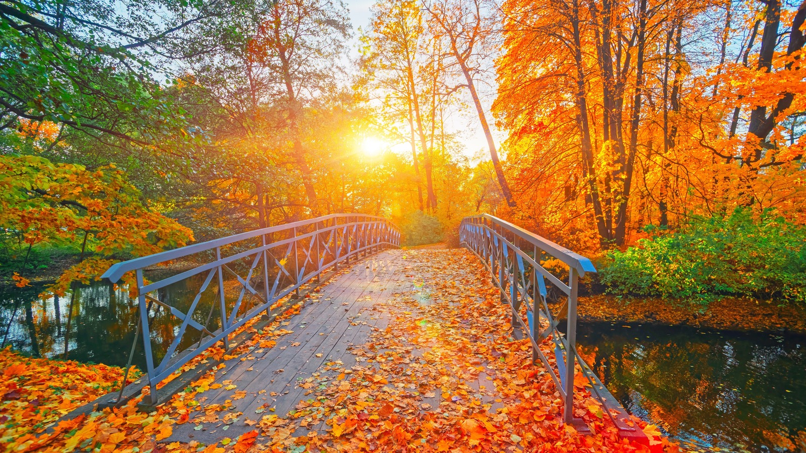 Fall Coloring Printables - UK Printable Hub