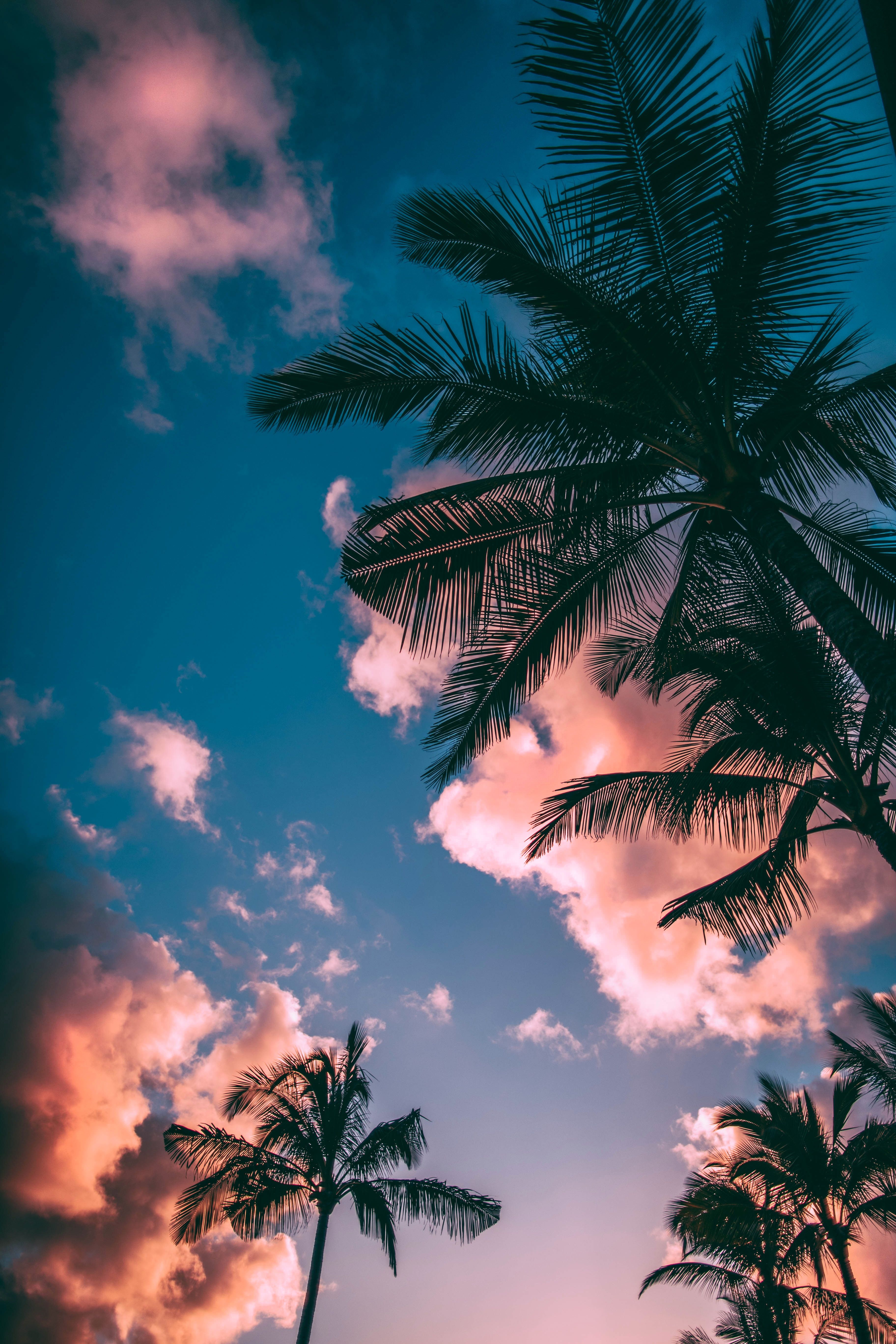  Mobile Wallpaper 4k Photos, Download The BEST Free Mobile Wallpaper 4k 