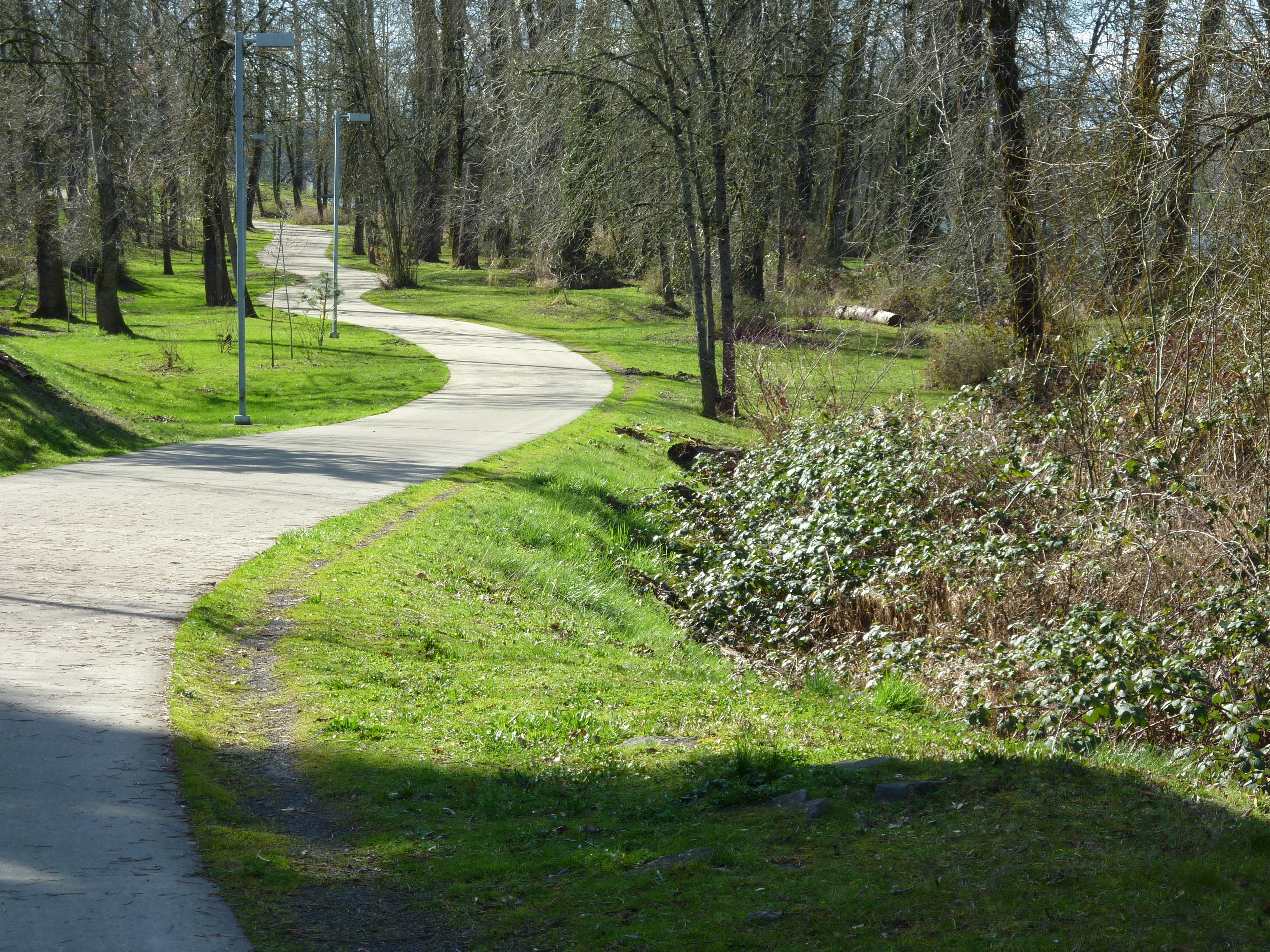 Walking Path