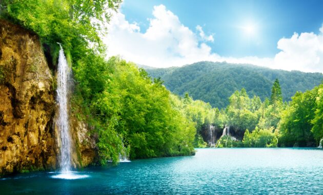 top 10 water type pokemon