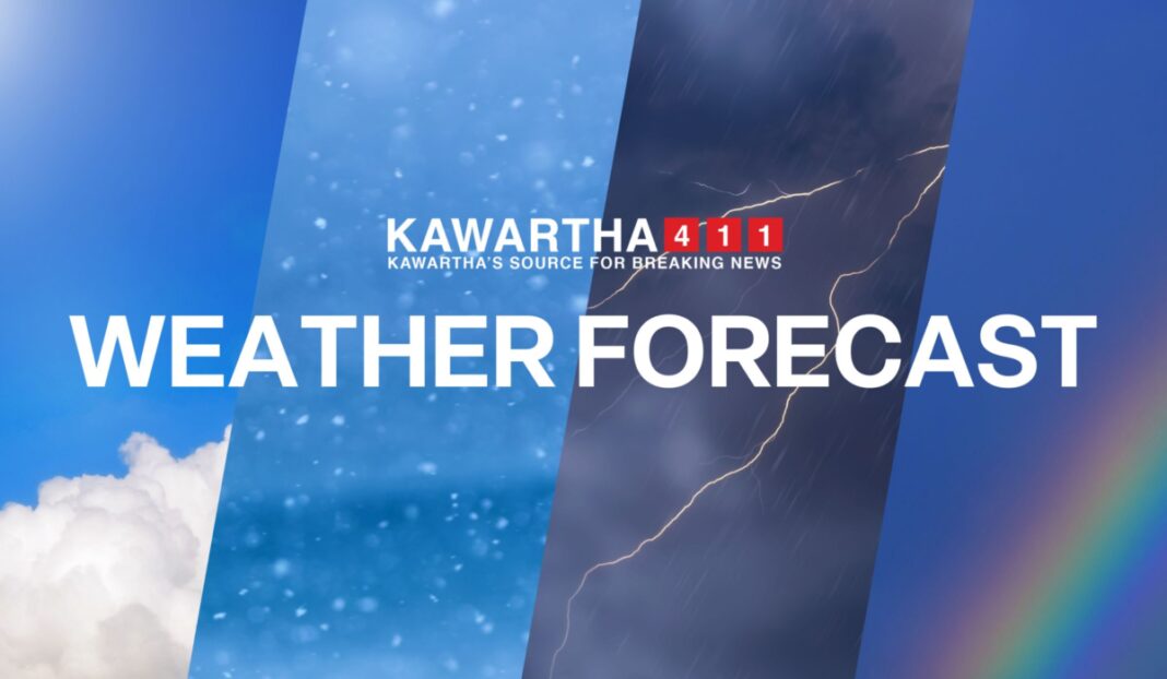 Kawartha 411 Illustration 