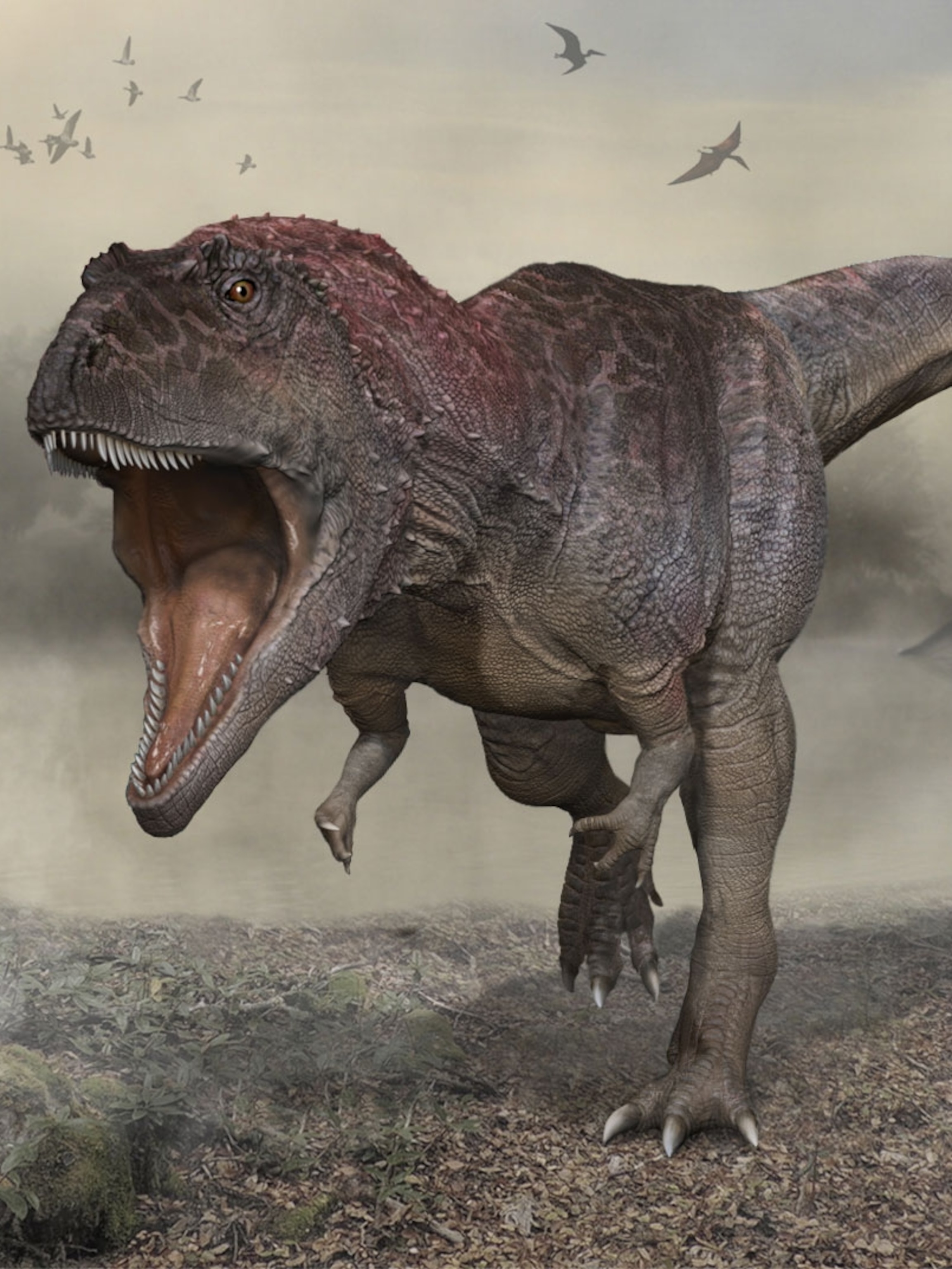  Did T Rex Evolve From Allosaurus at Amanda Moretz blog Bildidee 