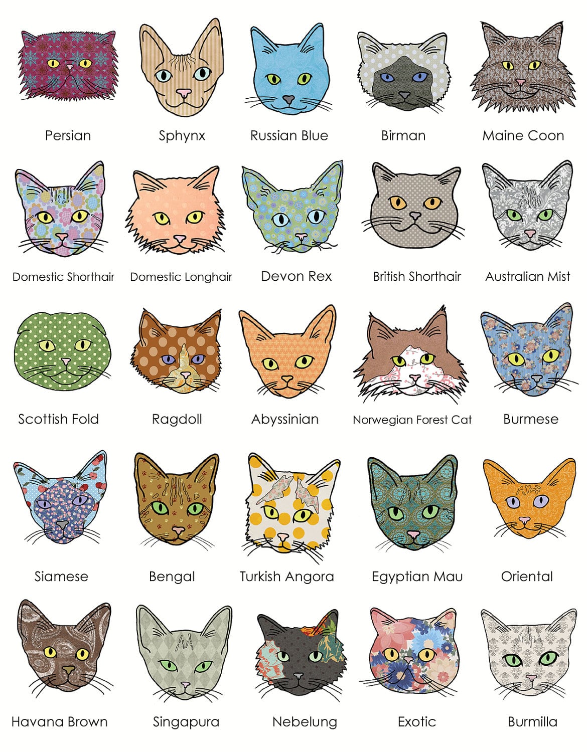 Popular Cat Breeds List _ Popular Cat Breeds – REMOEQ