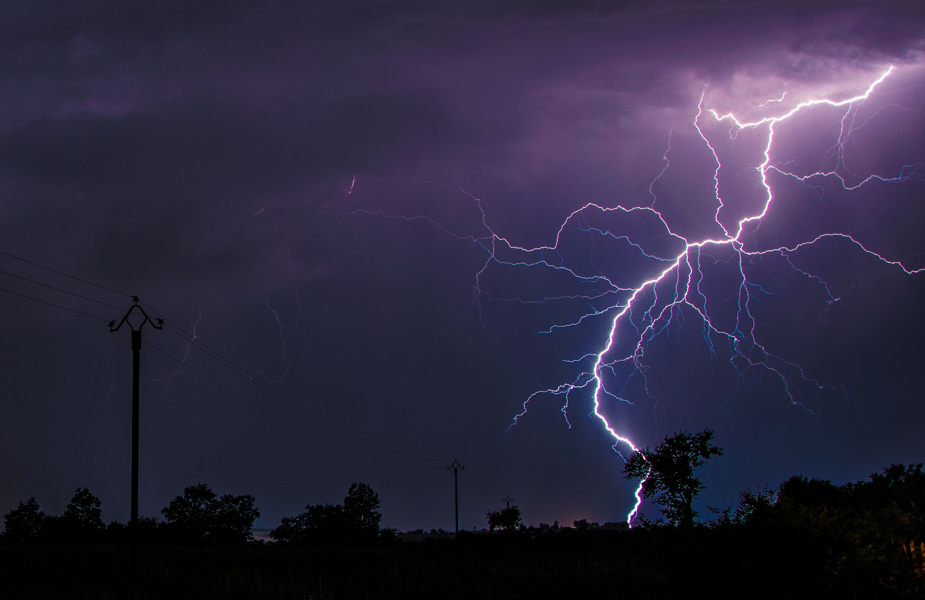 Lightning Unk on Green Grass Field · Free Stock Photo Illustration 