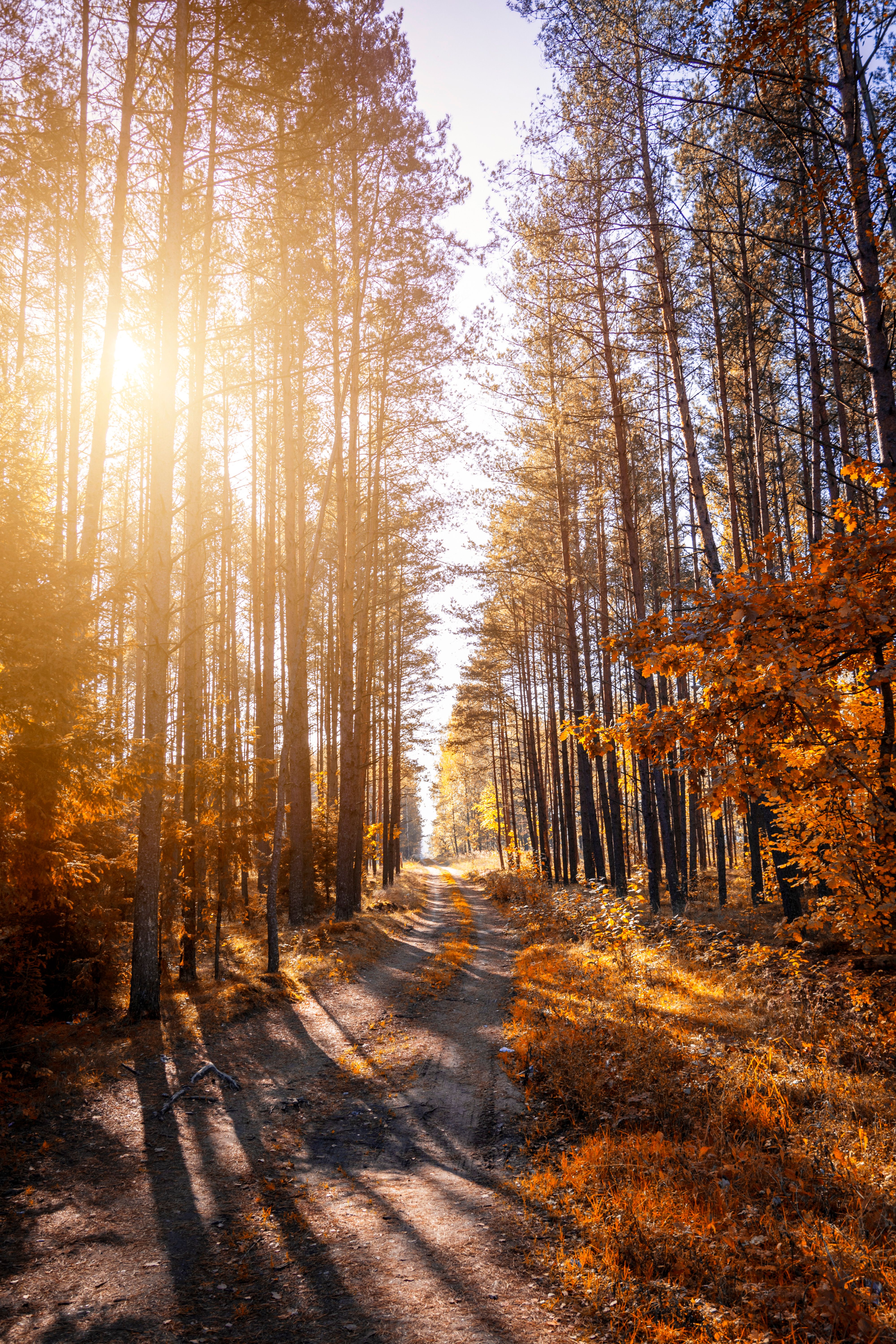 Mobile Wallpaper 4k Photos, Download The BEST Free Mobile Wallpaper 4k