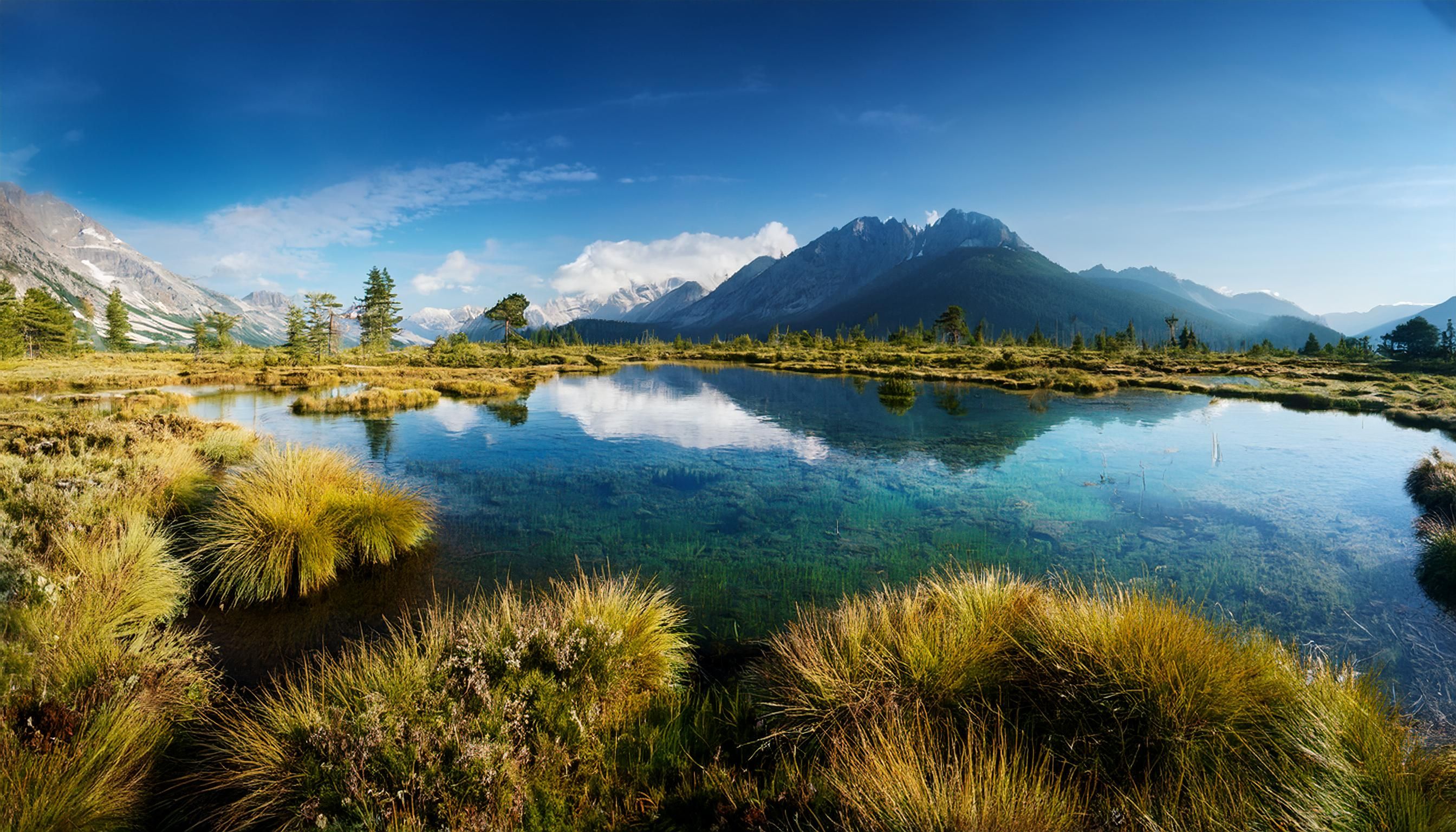Nature And Environment Photos, Download The BEST Free Nature And