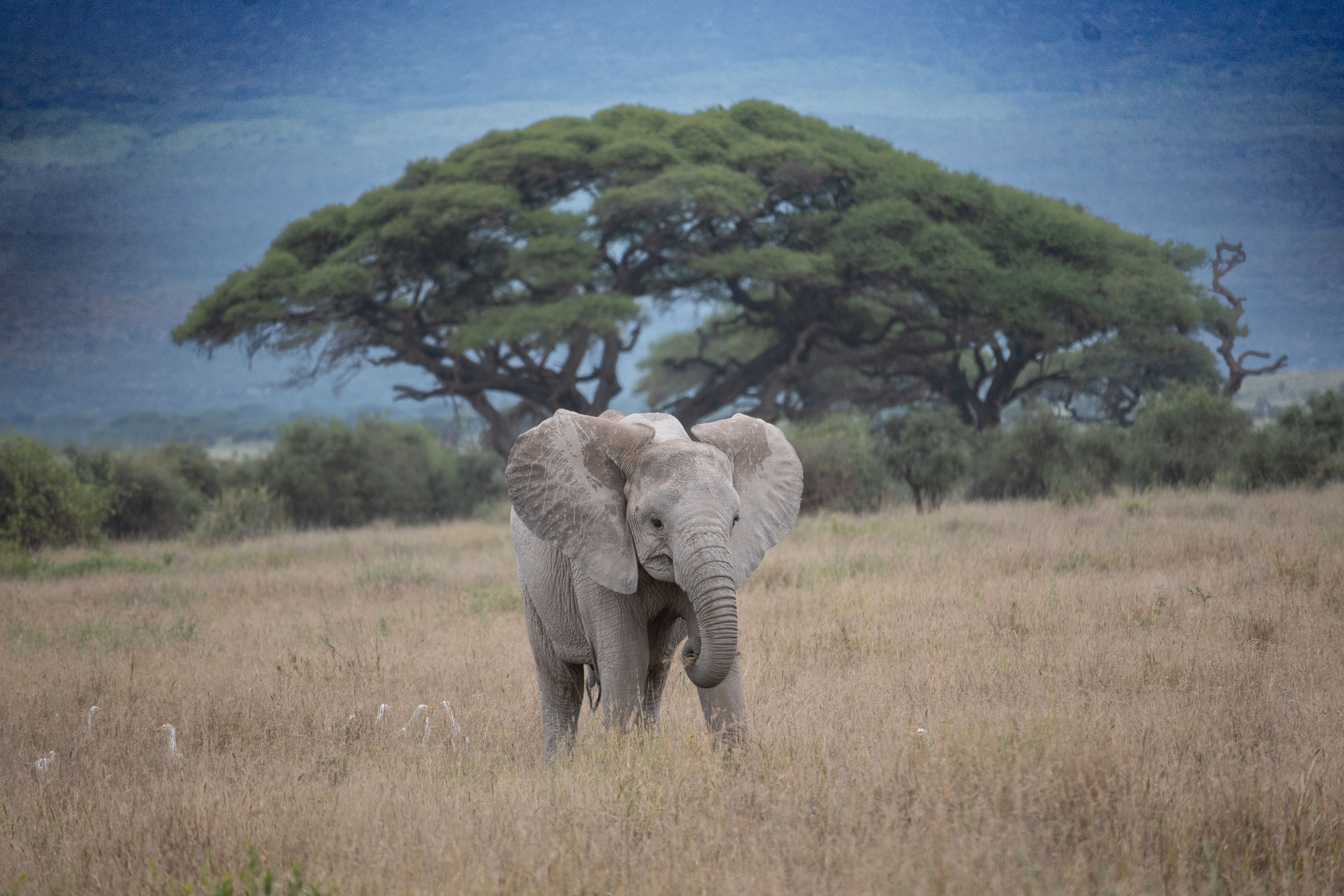 Nature And Environment Photos, Download The BEST Free Nature And