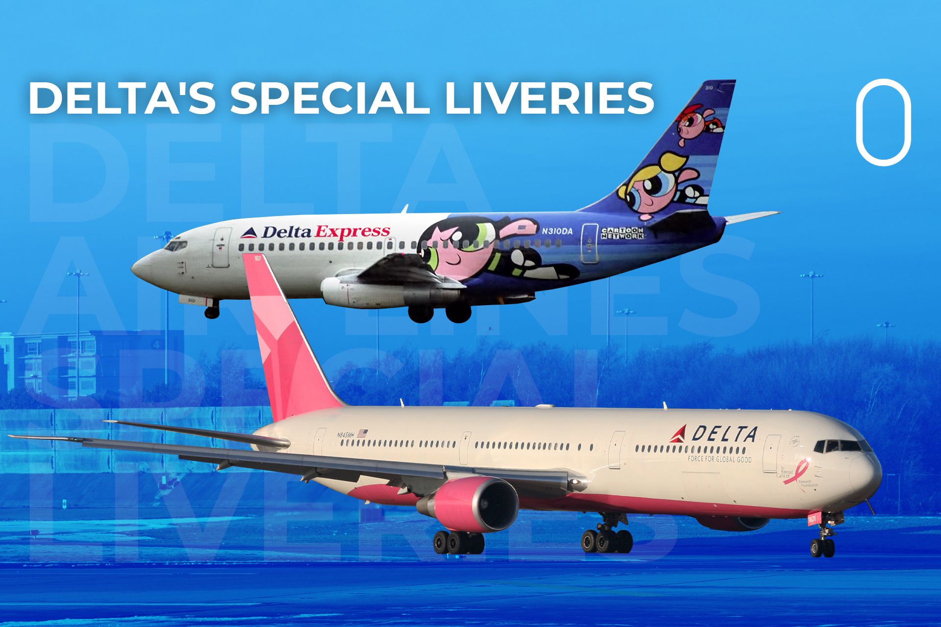 What Special Liveries Has Delta Air Lines Painted Its Aircraft In?