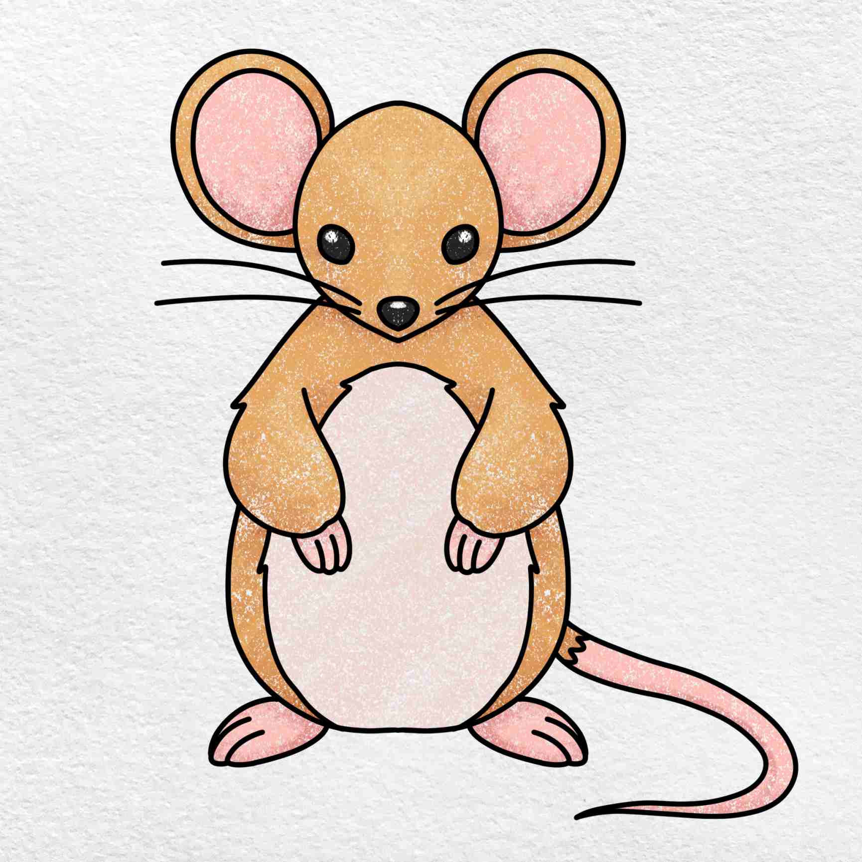  Mouse Drawing For Kids Coloring Page Outline Of Cartoon Little Mouse Bildidee 