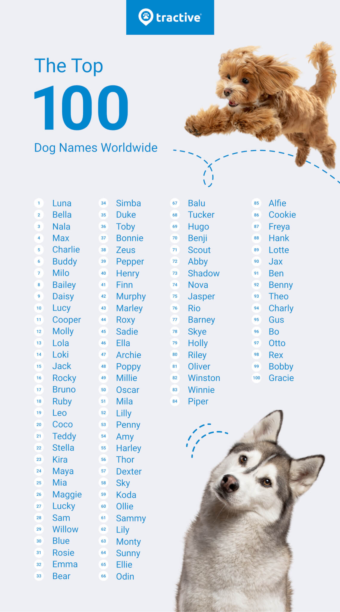  Show Dog Names 